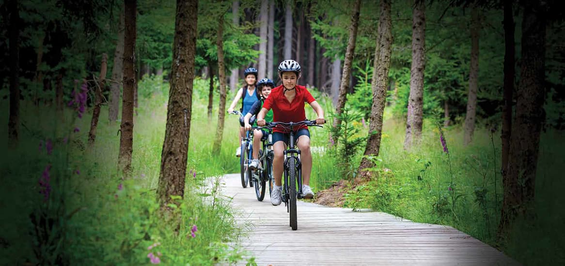 Cycle Tracks