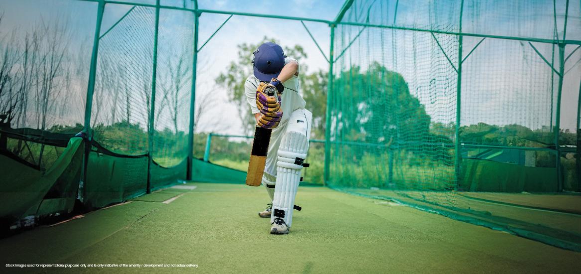 Net Cricket