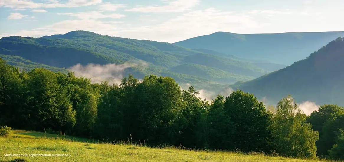 Hill Views
