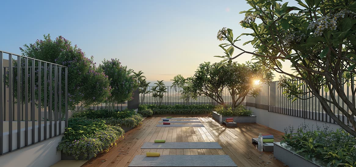 Yoga Deck