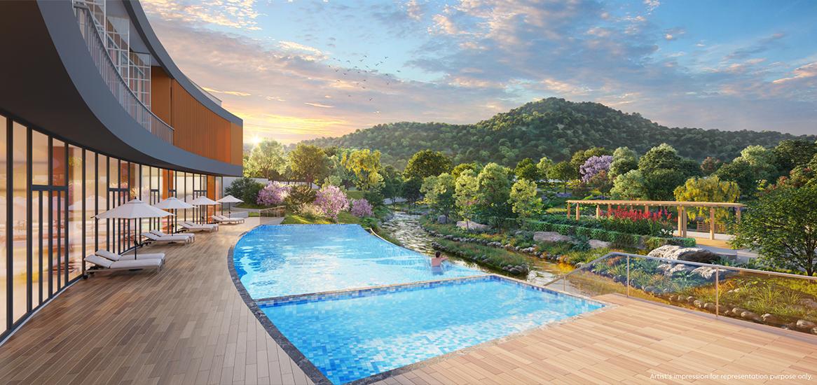 Plunge Pool