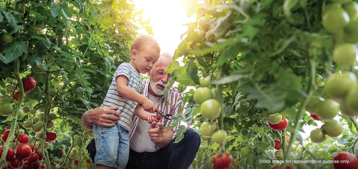 Organic Farming