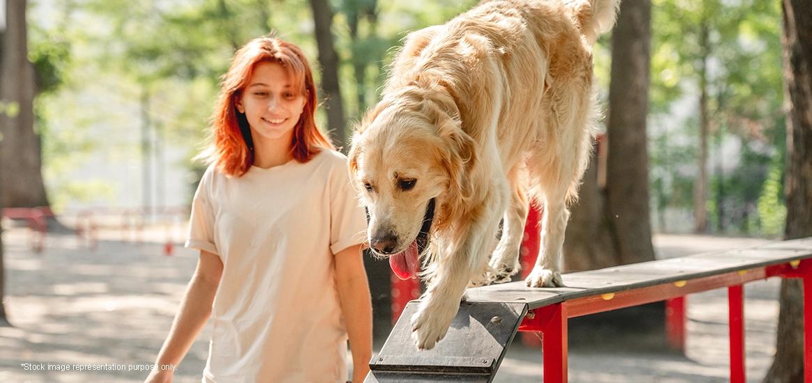 Tail-Wagging Fun: Unleash Joy in Our Park!