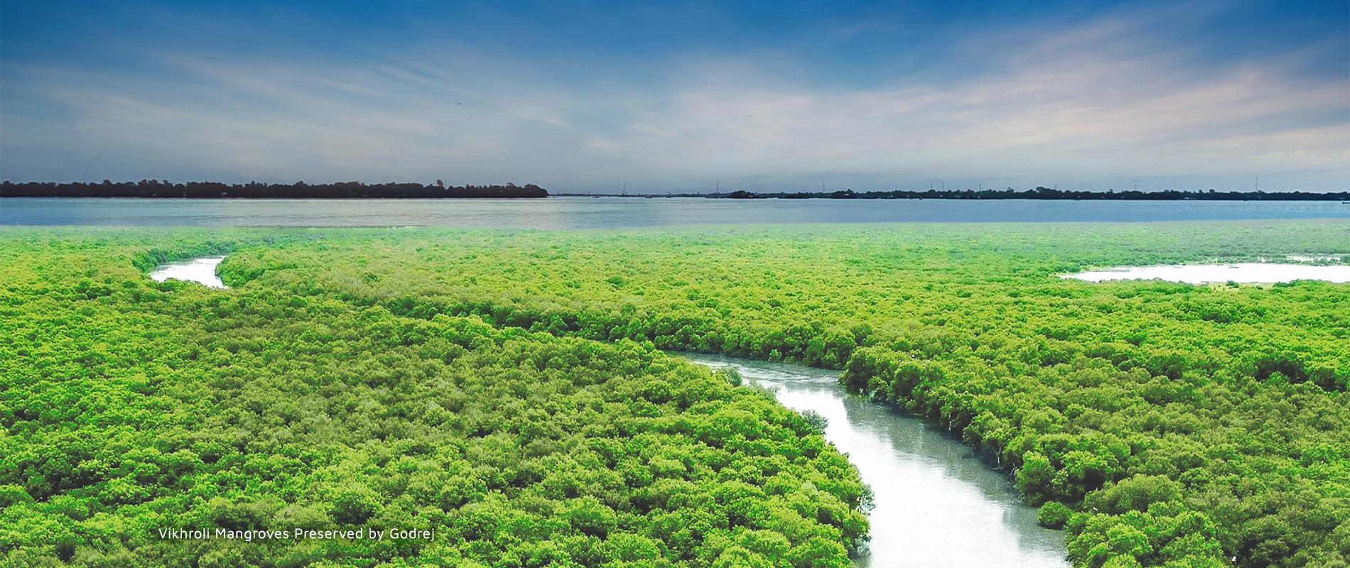 Godrej Mangroves