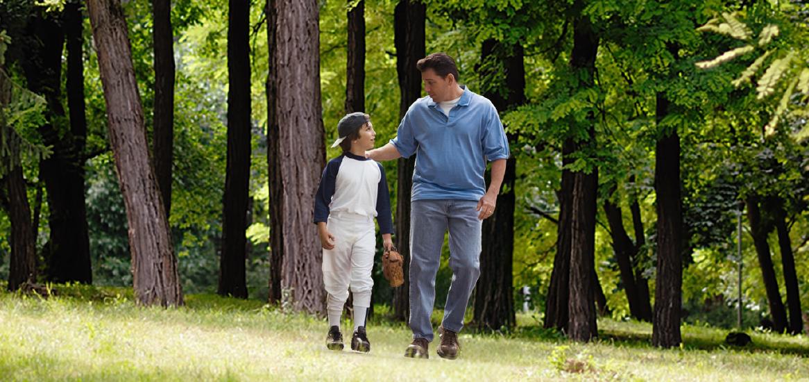 Lush Green Landscape
