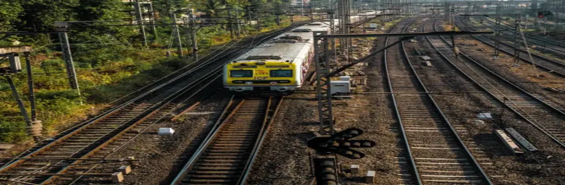 Mumbai Central Line Station