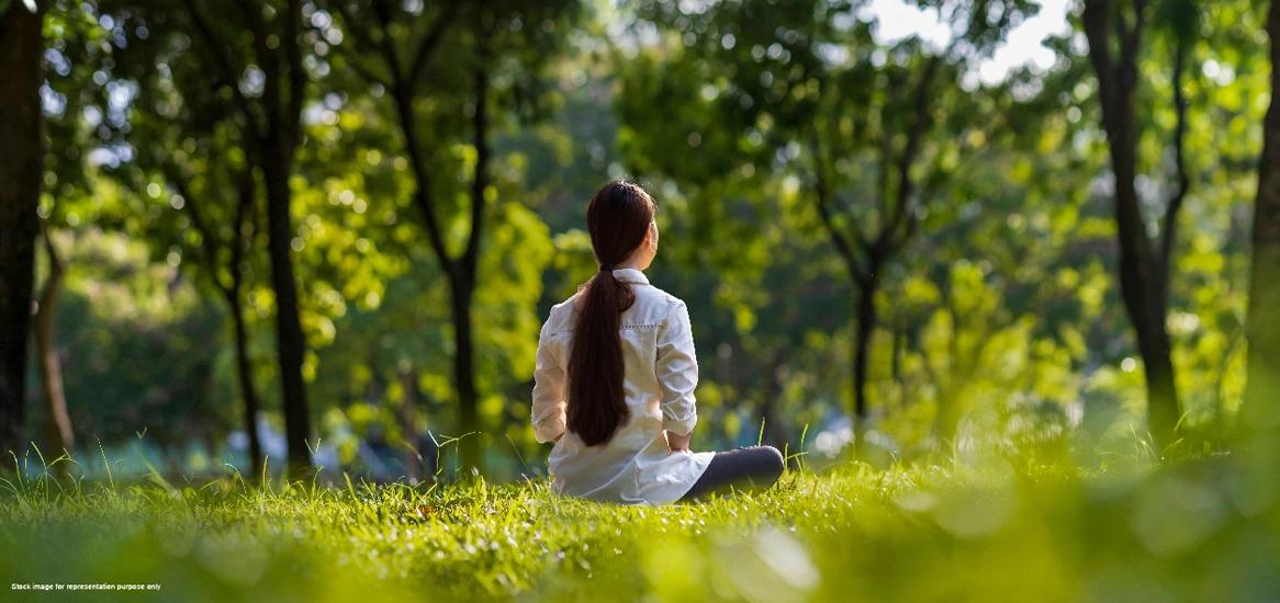 Find Serenity: Unwind in Our Tranquil Yoga Garden!