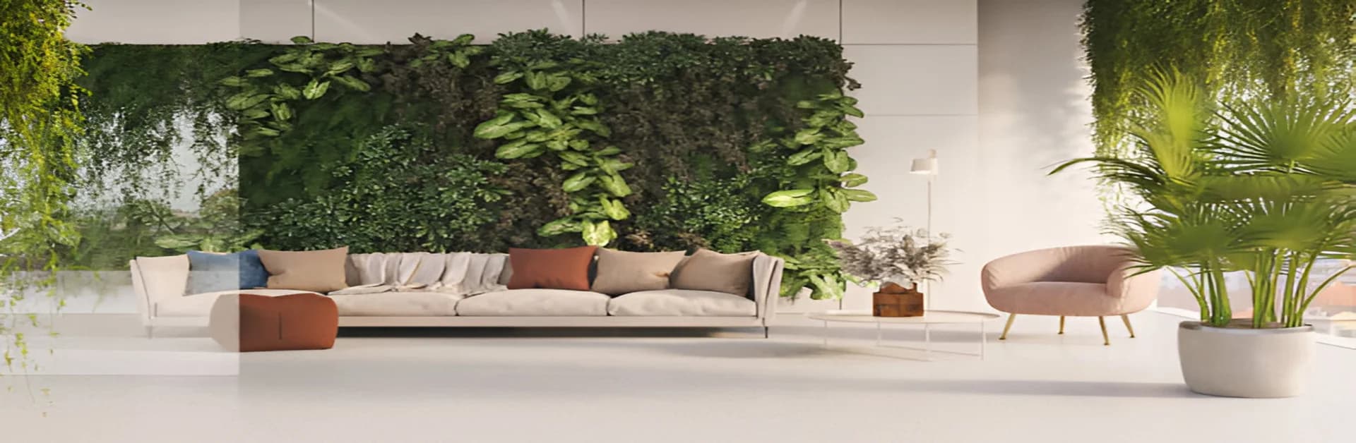 good luck plants for home