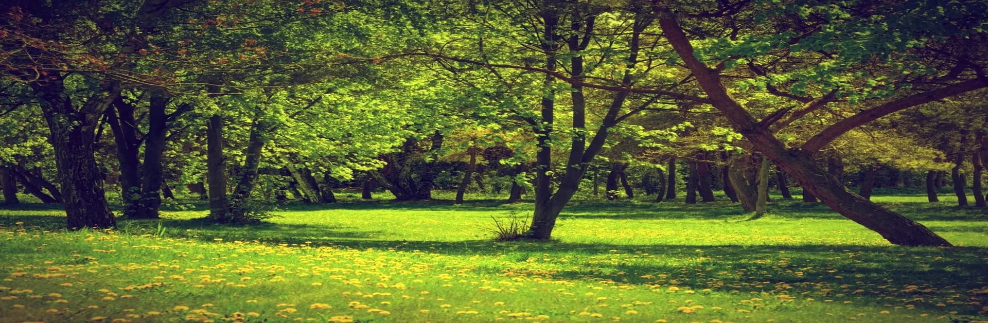 godrej vrikshya