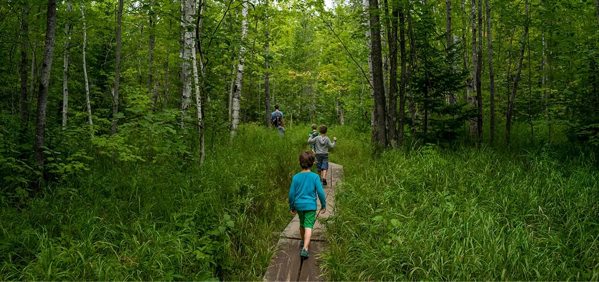 Godrej Woodland Forest Trail
