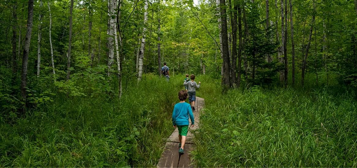 Godrej Woodland Forest Trail