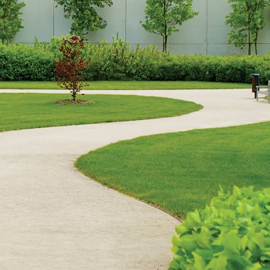 Walkway Loop at Podium Level