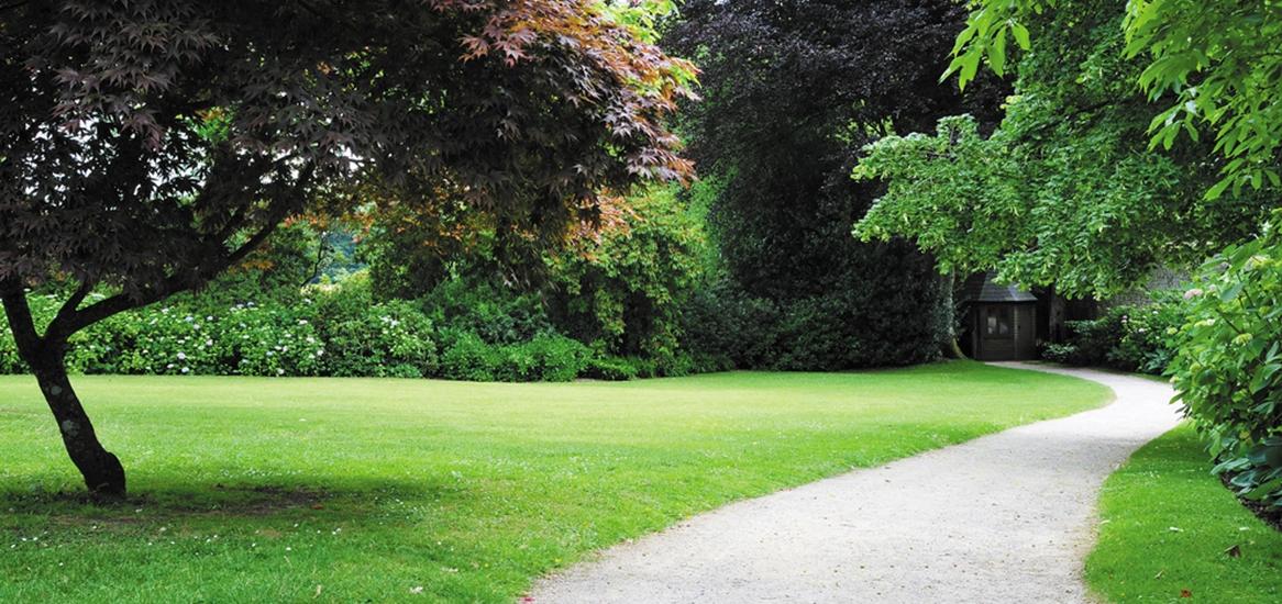 Godrej Park Greens Forest Boardwalk