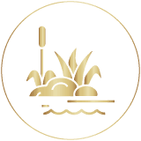 5+ Pondside Amenities