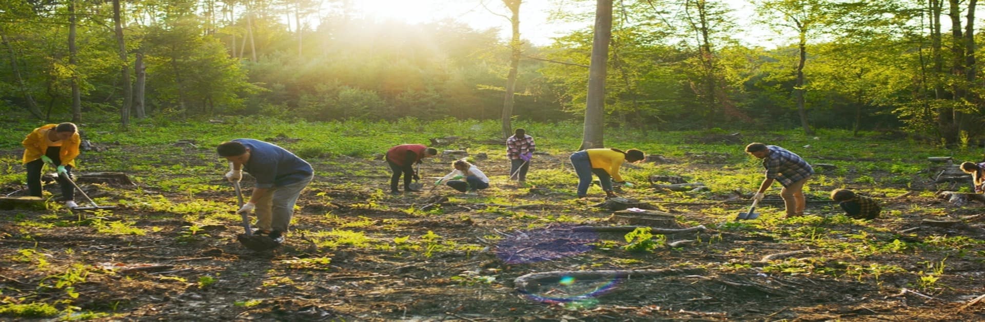 community gardens, sustainable community garden