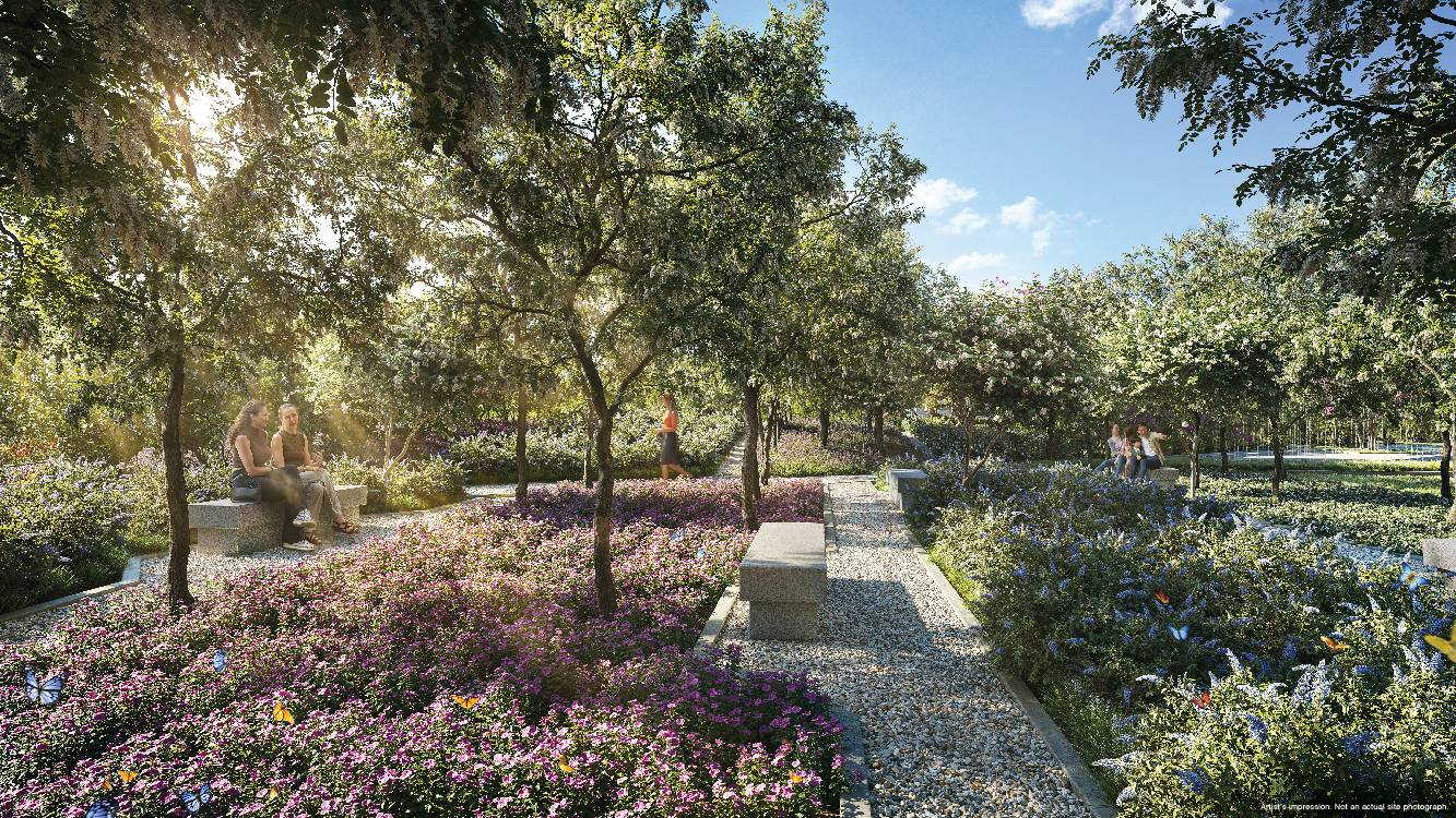 Butterfly Garden