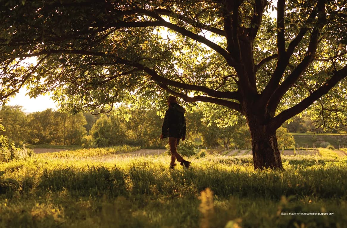 Nature Sit Out