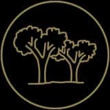 700+ Trees