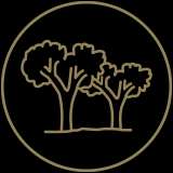 700+ Trees