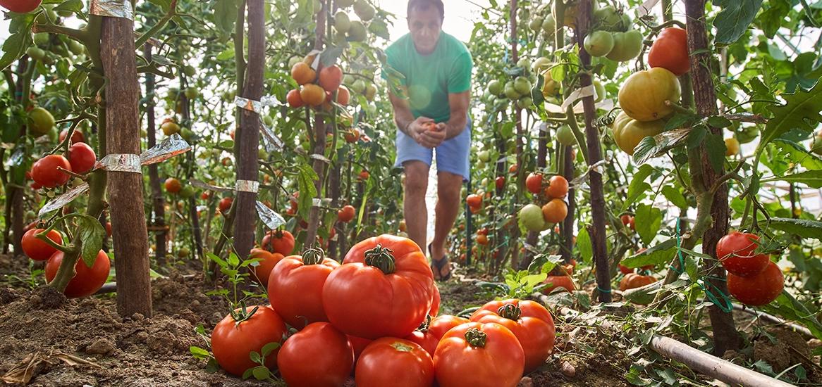 Godrej Icon Organic Garden