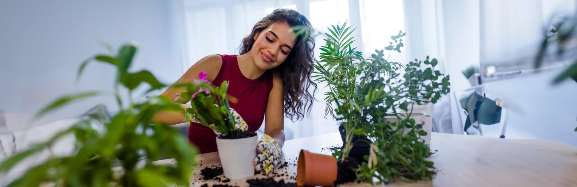 Blog banner