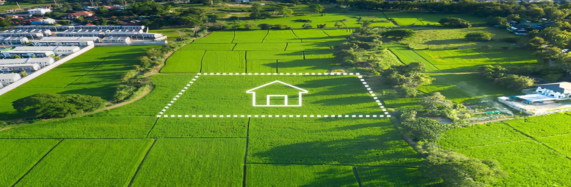 criteria for ews certificate