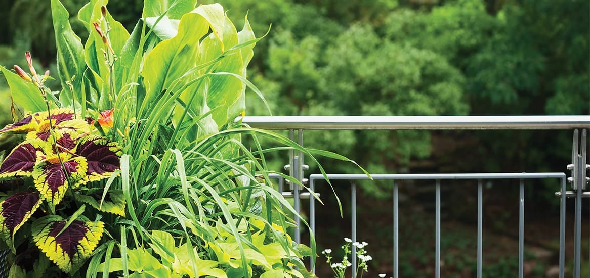 Godrej Rejuve Herb Garden