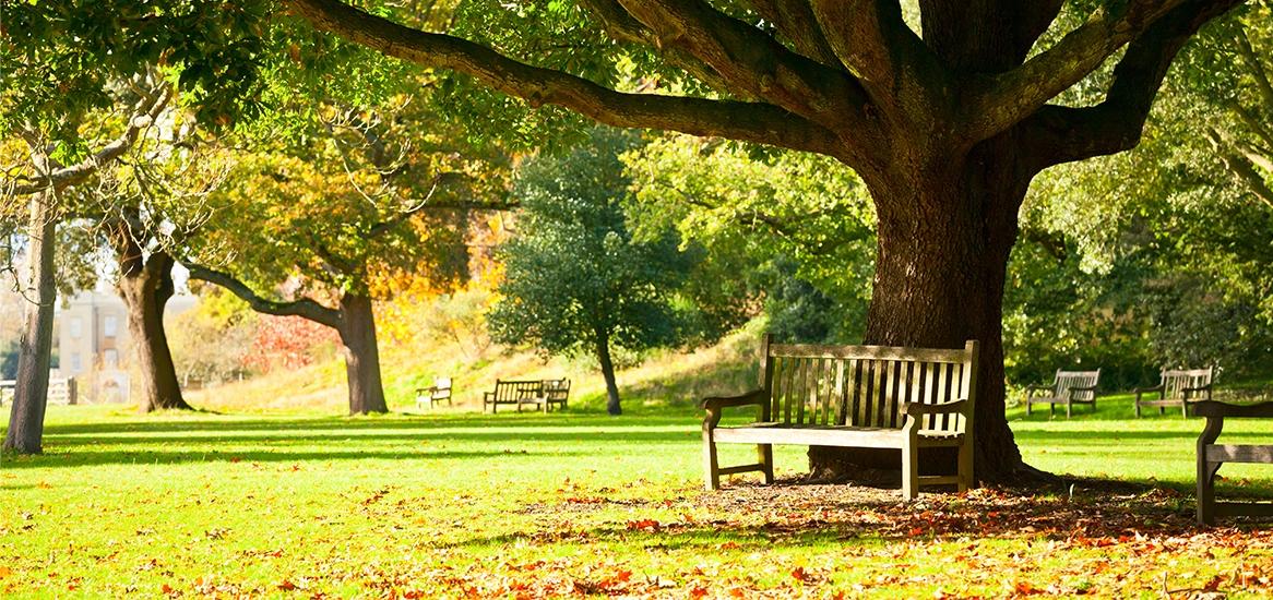 Godrej Hillside 400 Trees Within The Gated Community