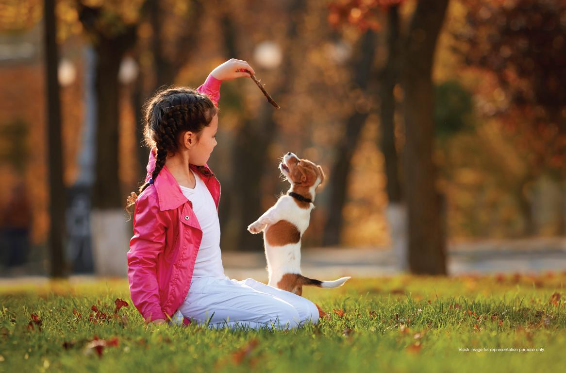 Godrej Royale Woods Pet Park