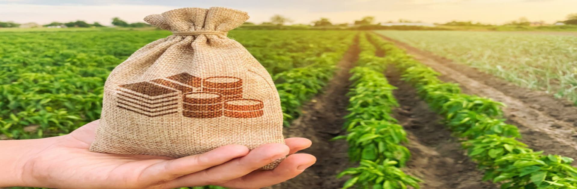 Agricultural vs non-agricultural land