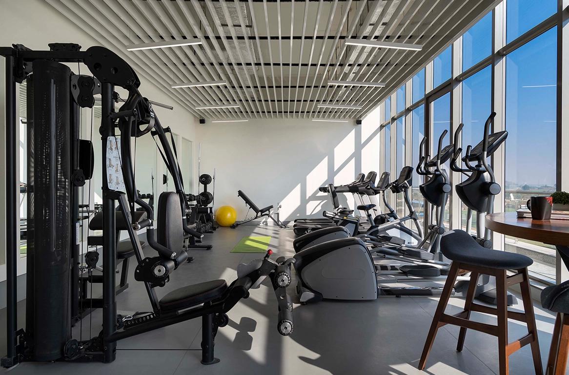 Godrej Aria Gymnasium