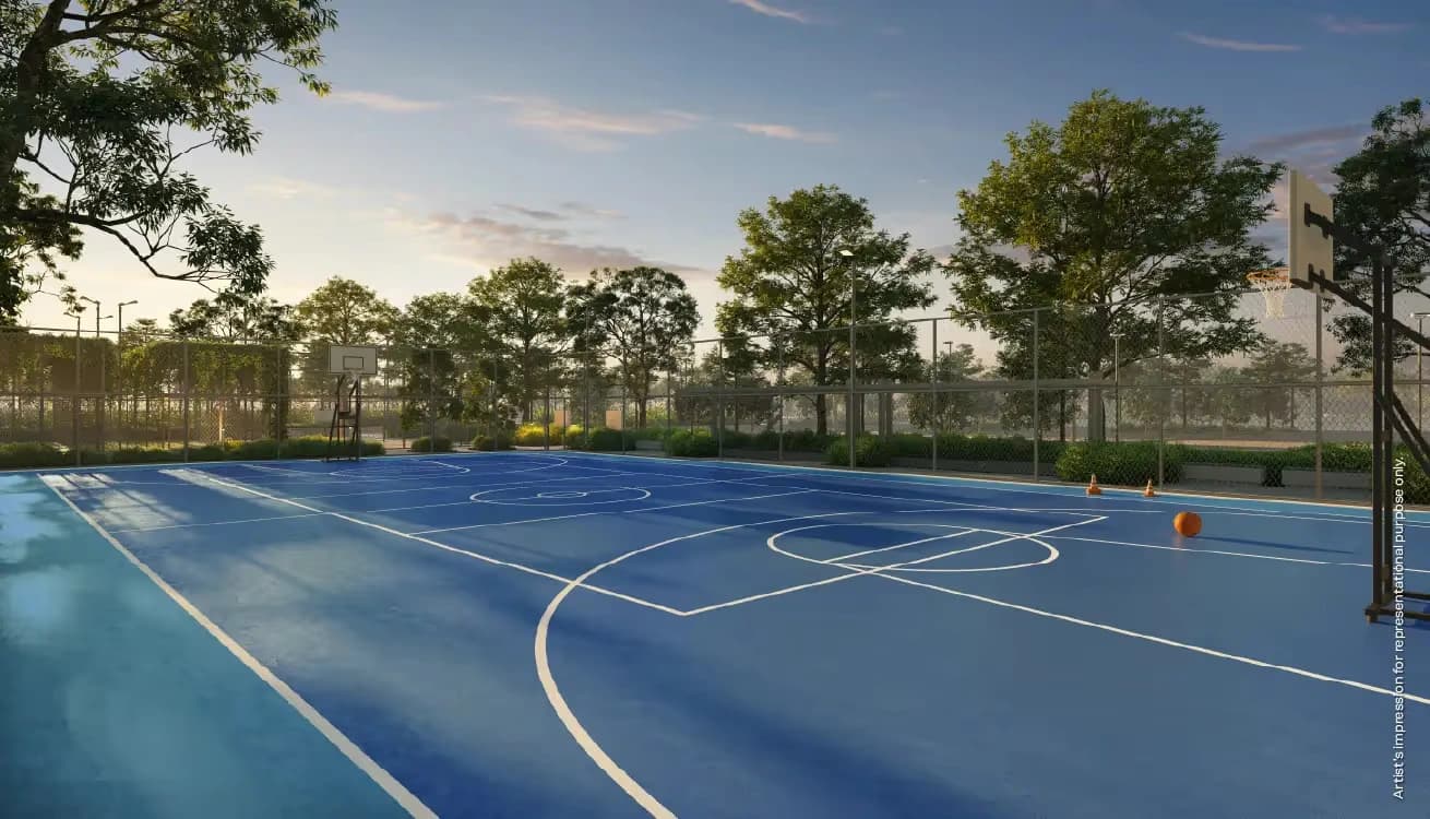 Basketball Court