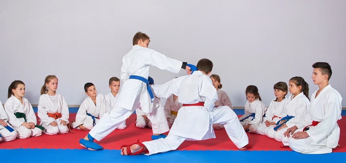 Godrej Nurture Martial arts training