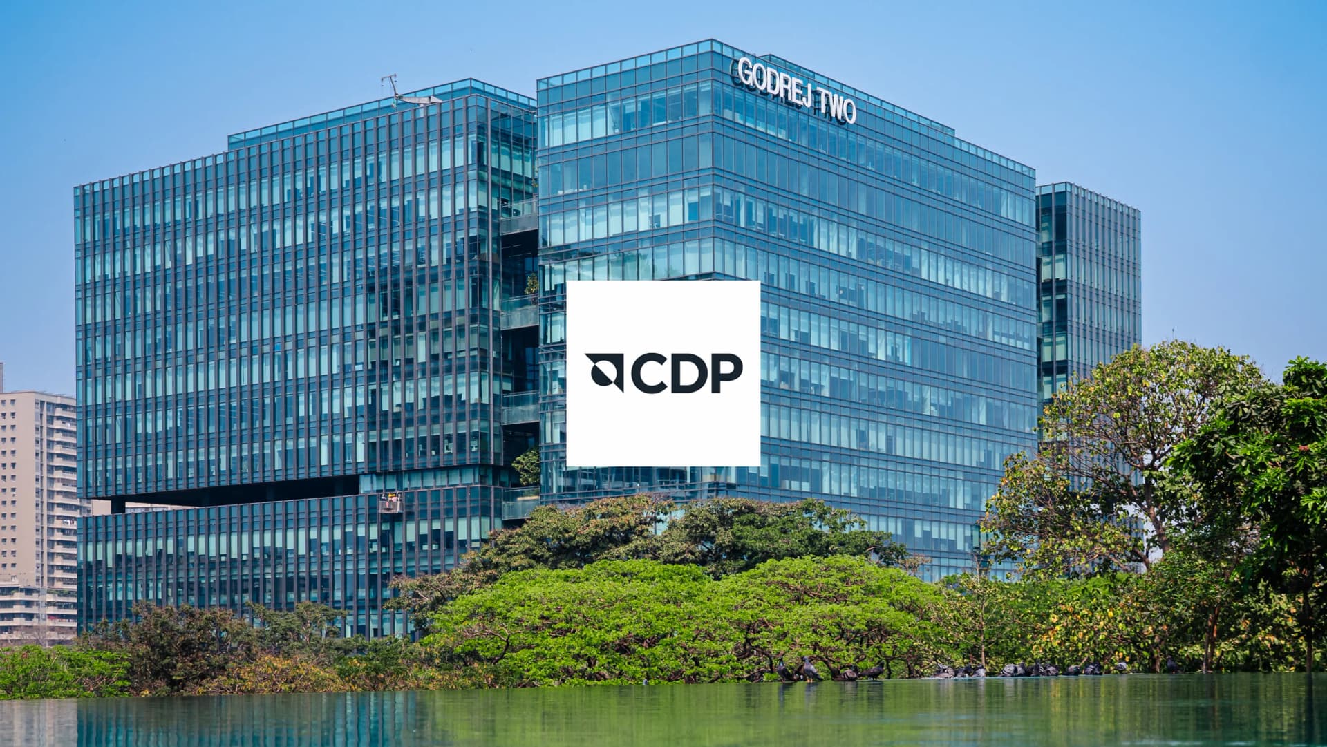 CDP Recognition