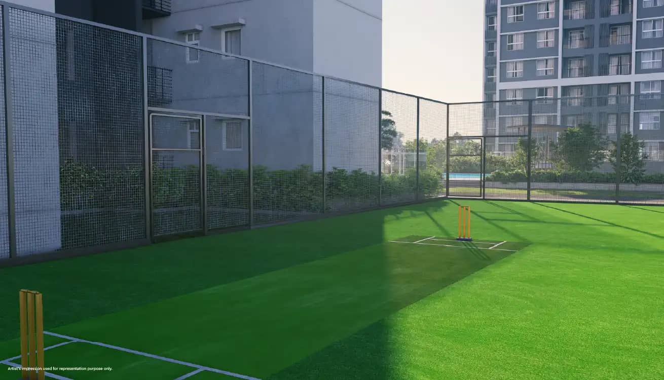 Godrej Ivara Cricket Pitch