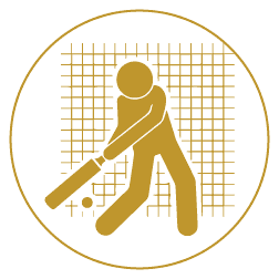Cricket Net