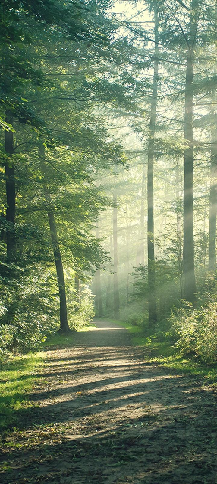 Godrej Woodland Mobile4