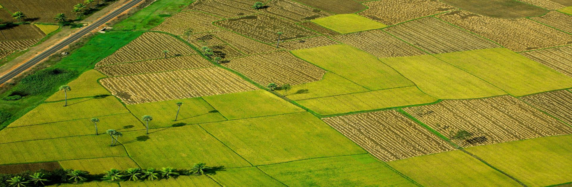 Tier 2 Cities in India