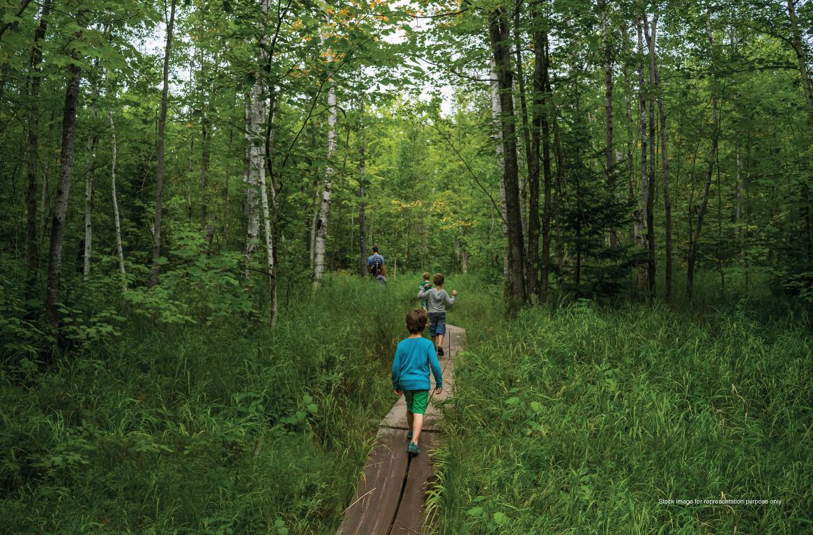 Godrej Woods Forest trail