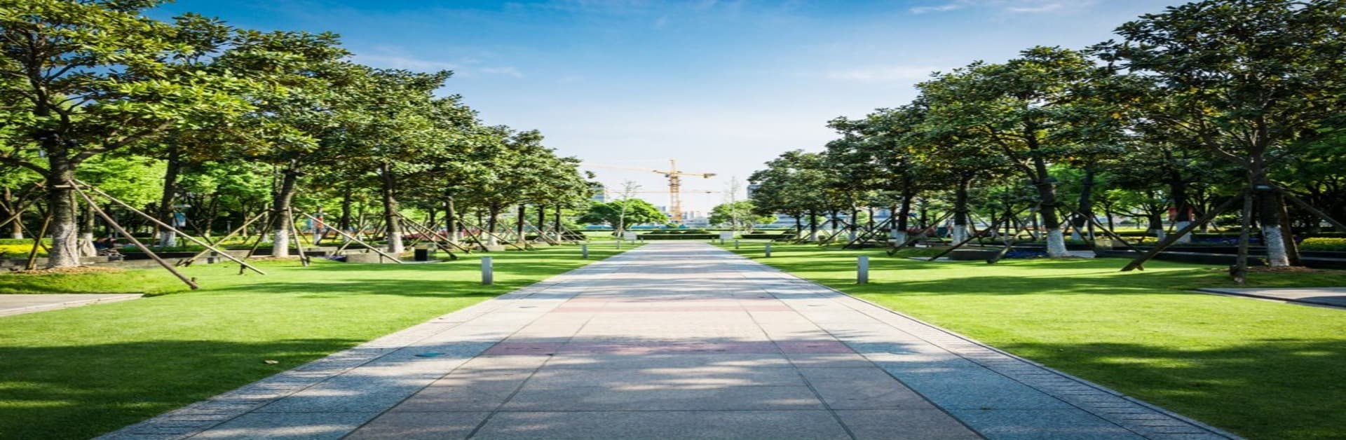 Blog banner