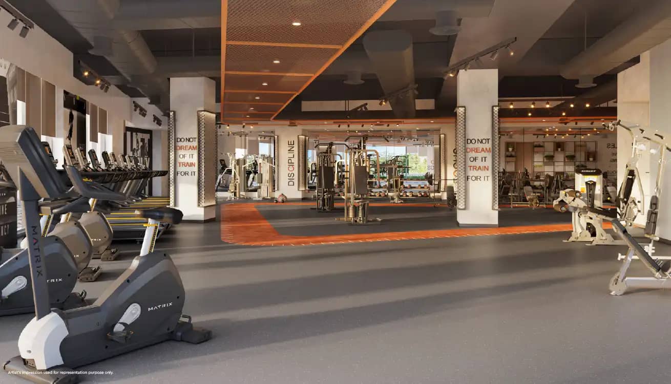 Gym 2