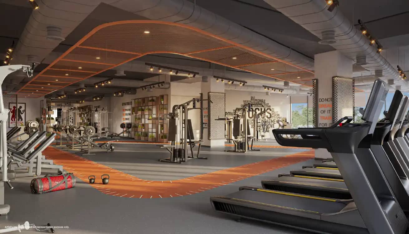 Gym 3