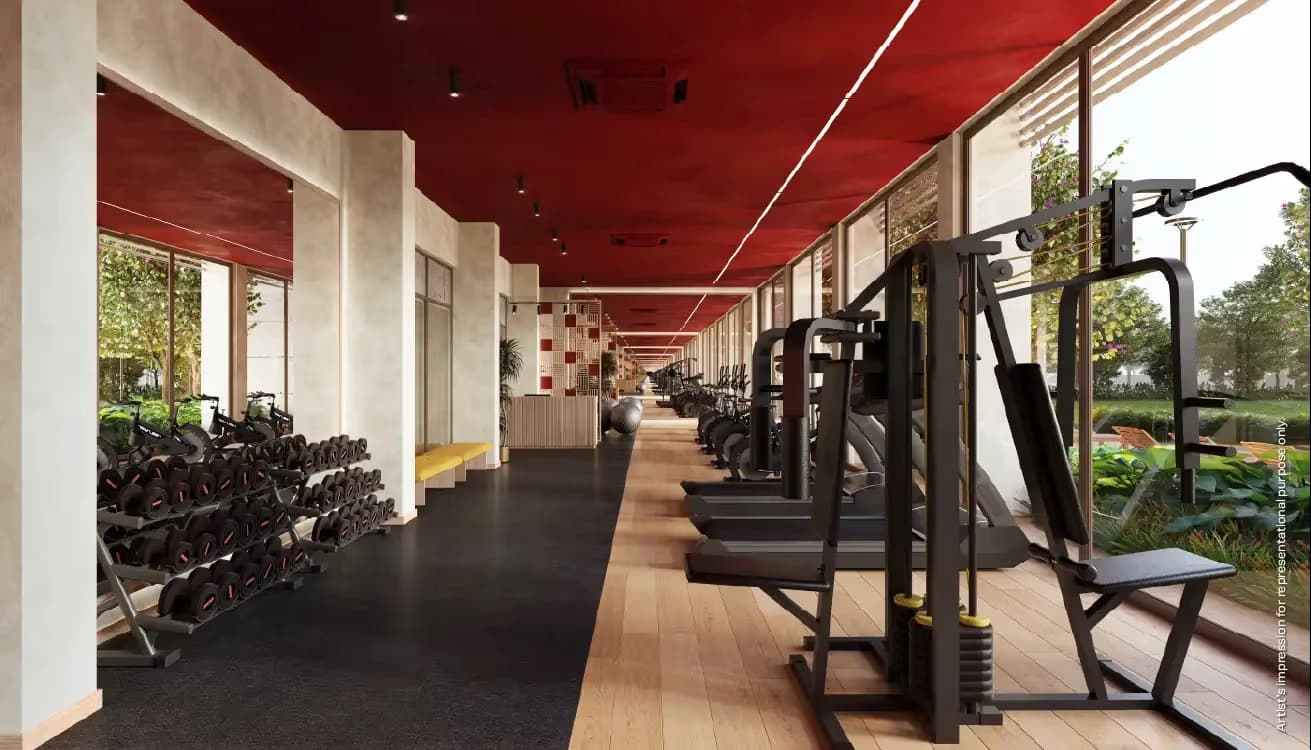 Gymnasium