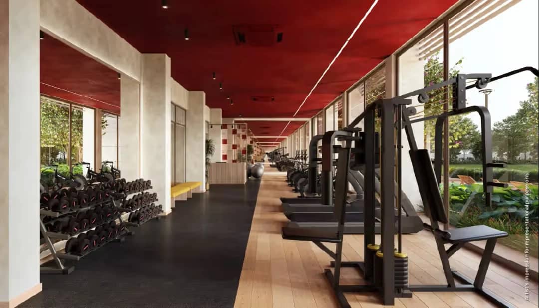 Gymnasium