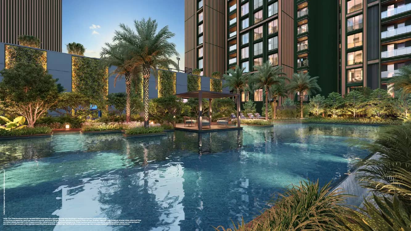 Infinity Pool