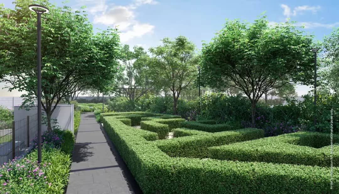 Maze Garden