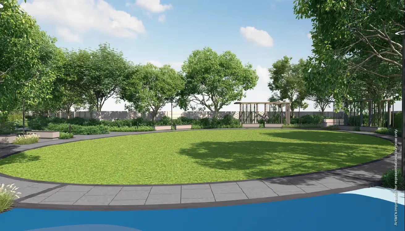 Open Lawn