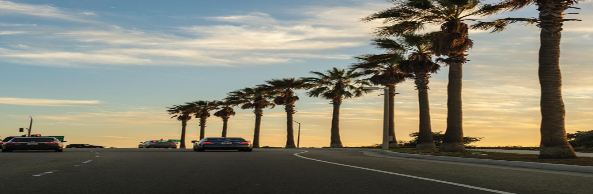 Palm beach road Prime Location