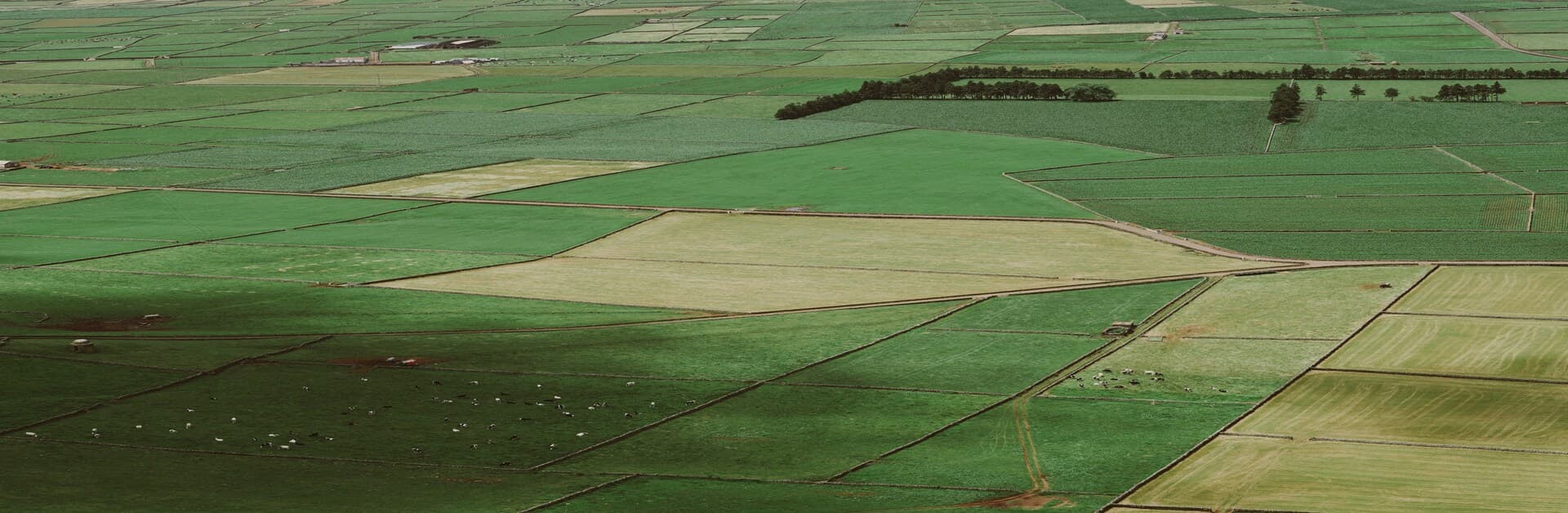 Premium residential plots in Raipur with planned infrastructure