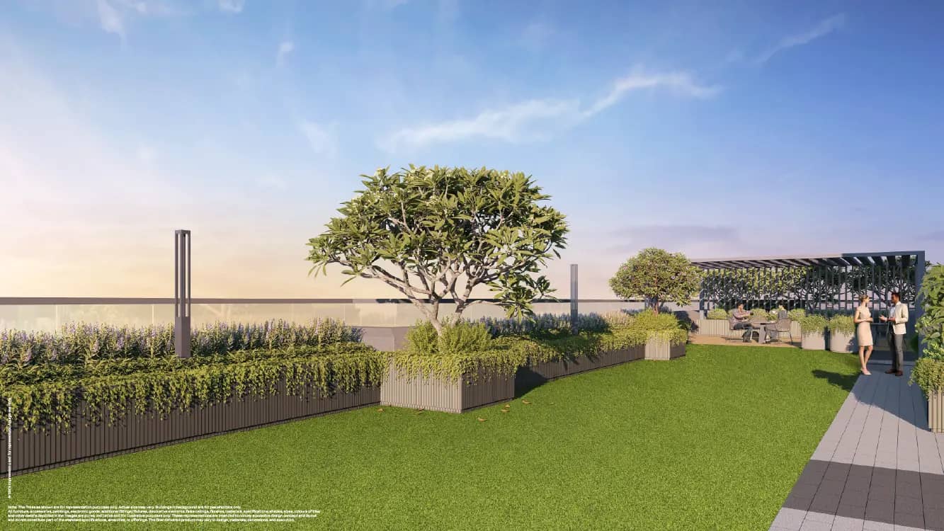 Sky Celebration Deck